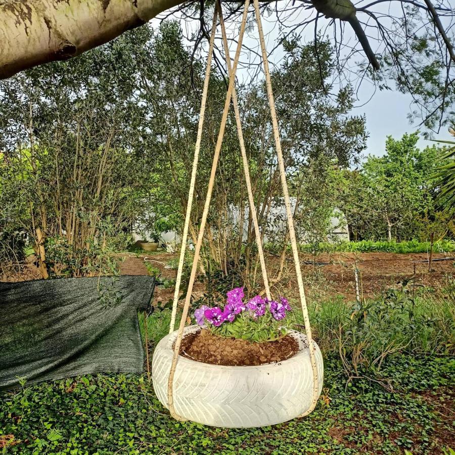 Bauernhof Il Cipresso *