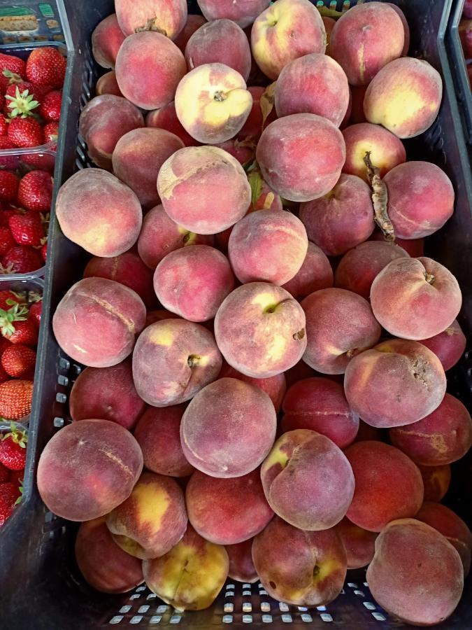 Il Cipresso Farm stay
