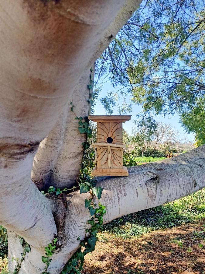 Farm stay Il Cipresso