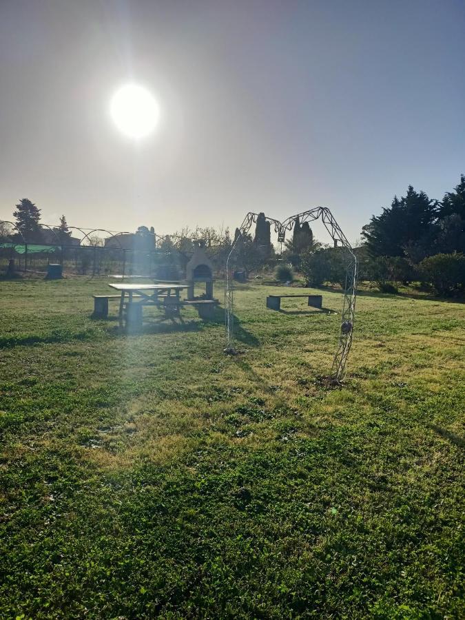 Farm stay Il Cipresso Vada