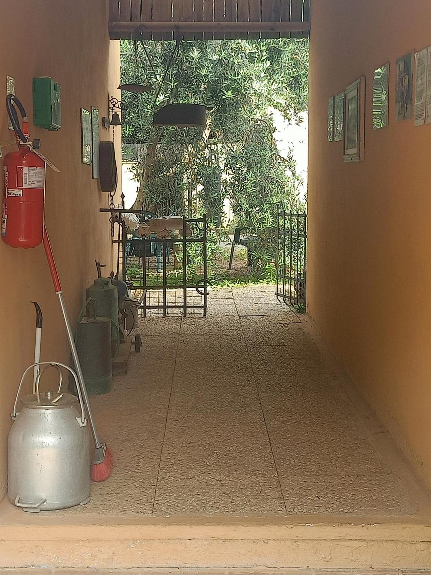 Il Cipresso * Vada
